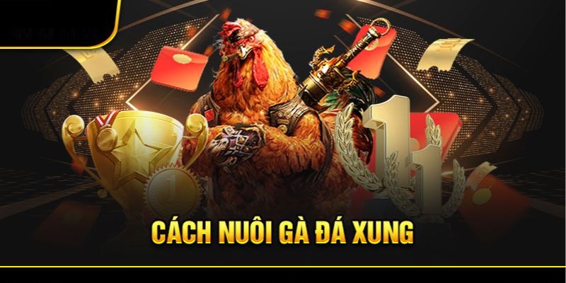 Bí Quyết Nuôi Gà Đá Cựa Sắt Hiệu Quả - Bí Quyết Chiến Thắng 7 Bi quyet nuoi ga da cua sat de ga chien dau khong met moi