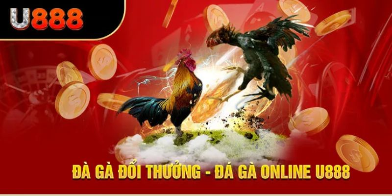Đá gà U888: Uy Tín, An Toàn, Minh Bạch Và Siêu Hấp Dẫn 5 Da ga U888 tham gia online doi thuong truc tuyen