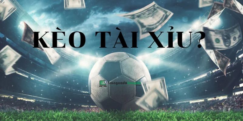 Tài Xỉu 1 Trái: Thủ Thuật Và Bí Quyết Chiến Thắng 7 Keo tai xiu 1 trai tai U888 ty le trung thuong cao